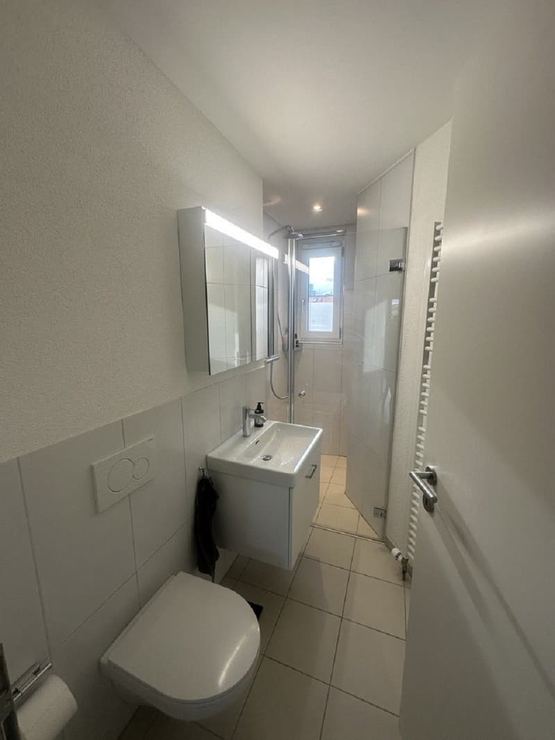 Charmante 2.5-Zimmer-Wohnung an der Langstrasse in Zürich (6)