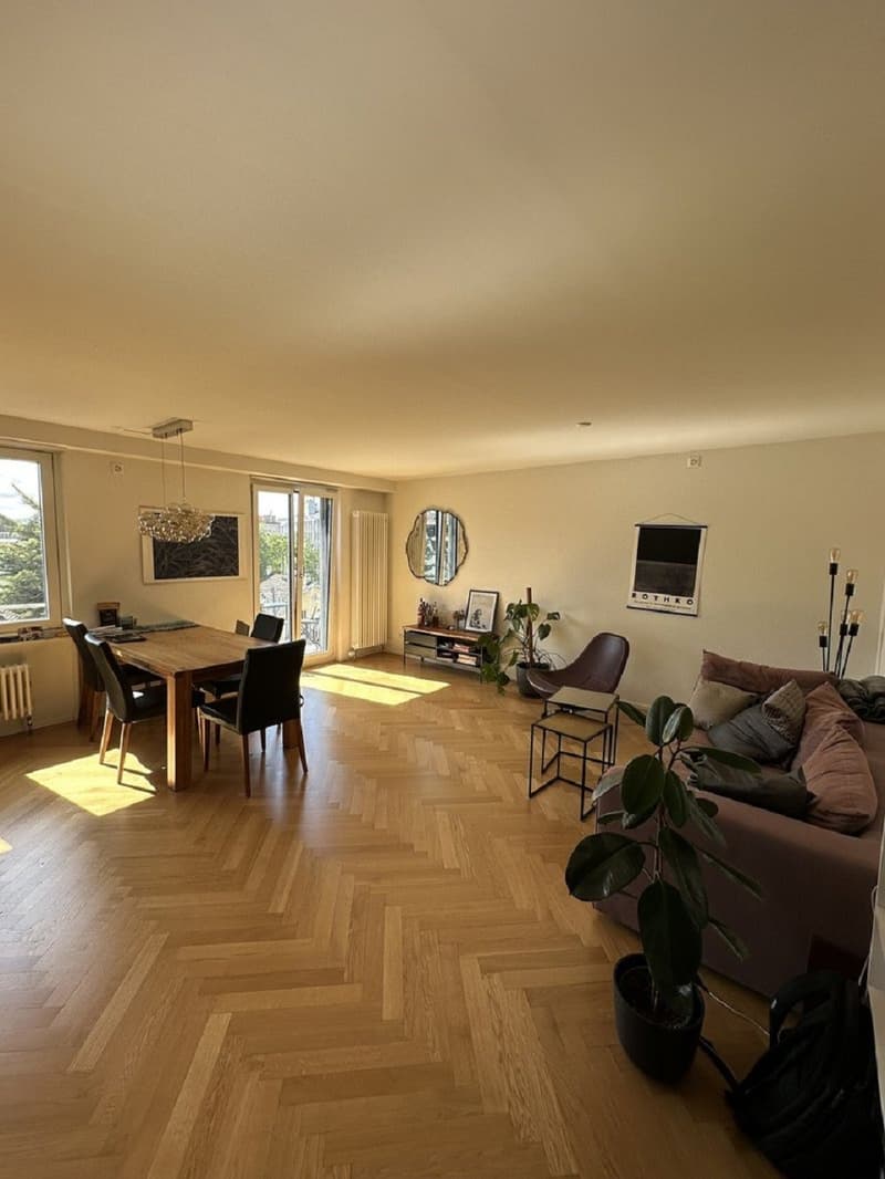 Charmante 2.5-Zimmer-Wohnung an der Langstrasse in Zürich (1)