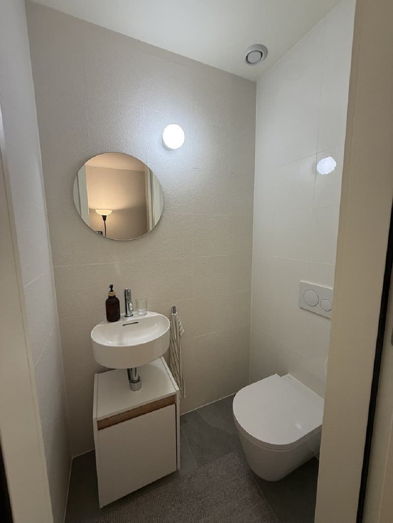 "Charmant appartement de 3 pièces au cur de Genève  Grand-Rue " (5)