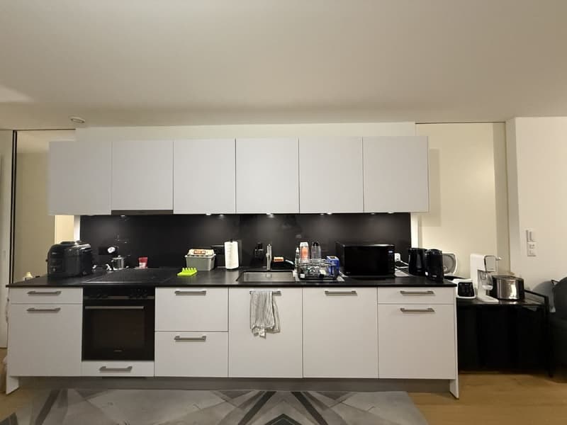 "Charmant appartement de 3 pièces au cur de Genève  Grand-Rue " (9)