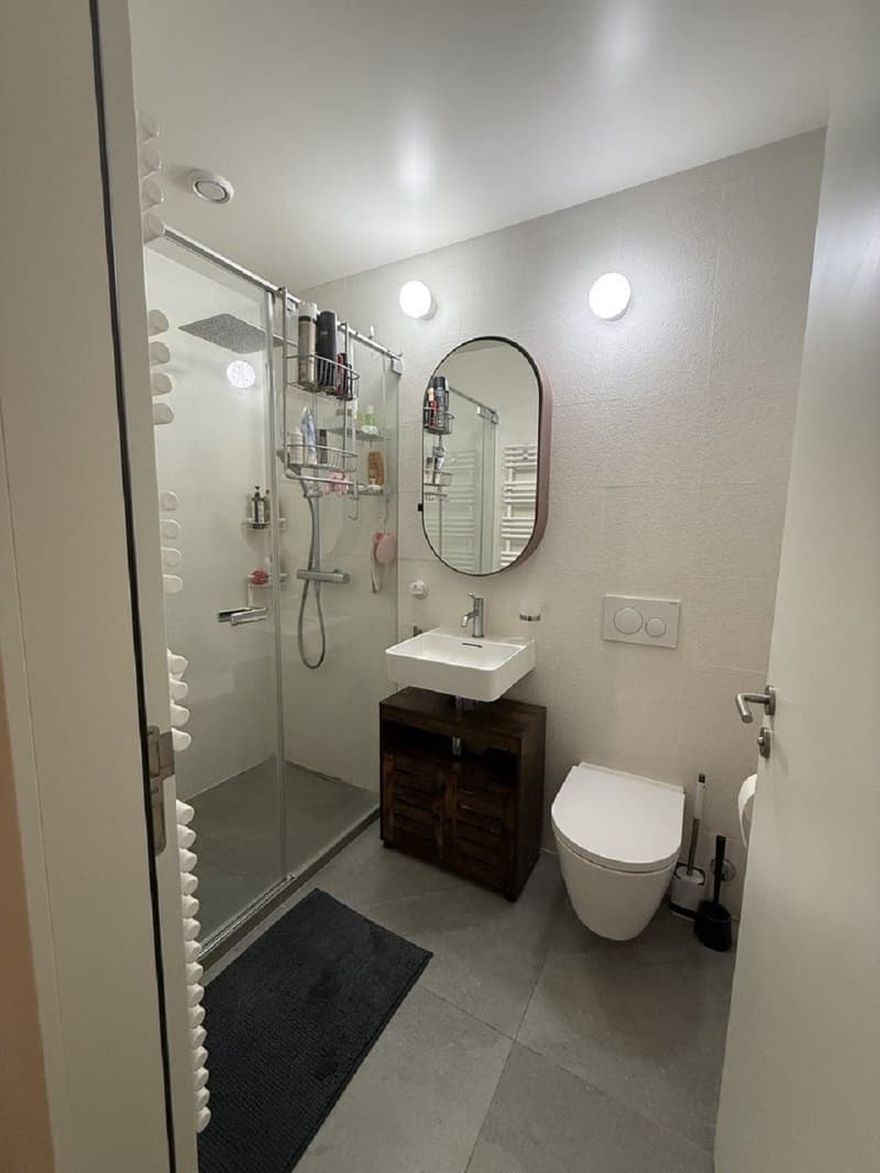 "Charmant appartement de 3 pièces au cur de Genève  Grand-Rue " (8)