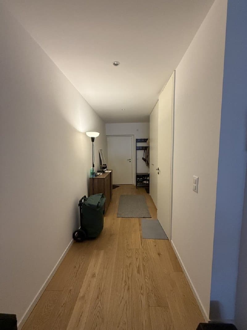 "Charmant appartement de 3 pièces au cur de Genève  Grand-Rue " (3)