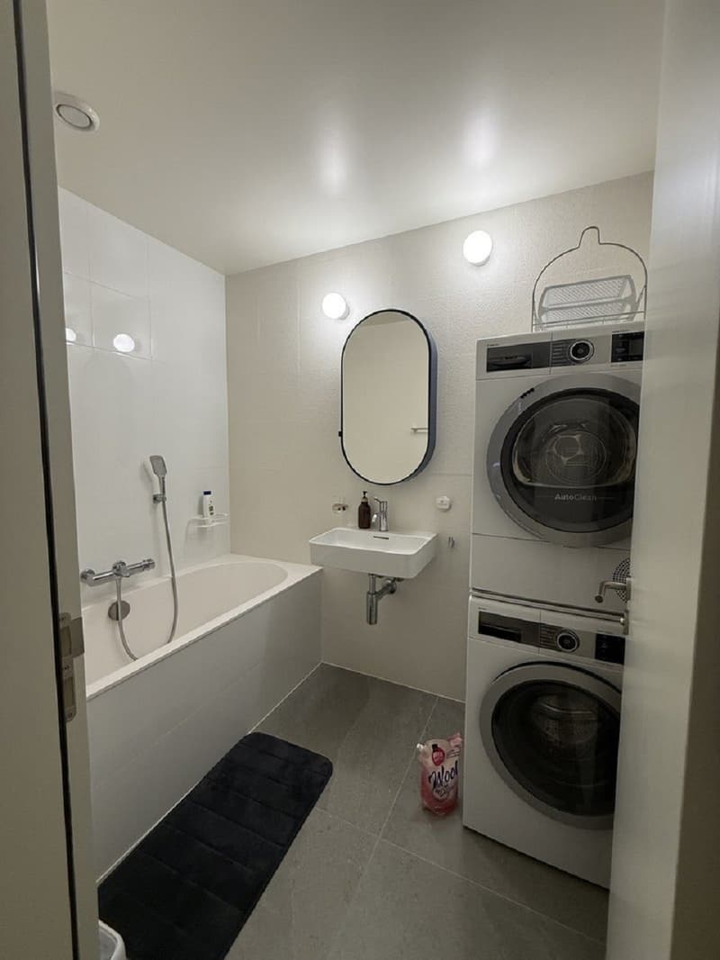 "Charmant appartement de 3 pièces au cur de Genève  Grand-Rue " (7)