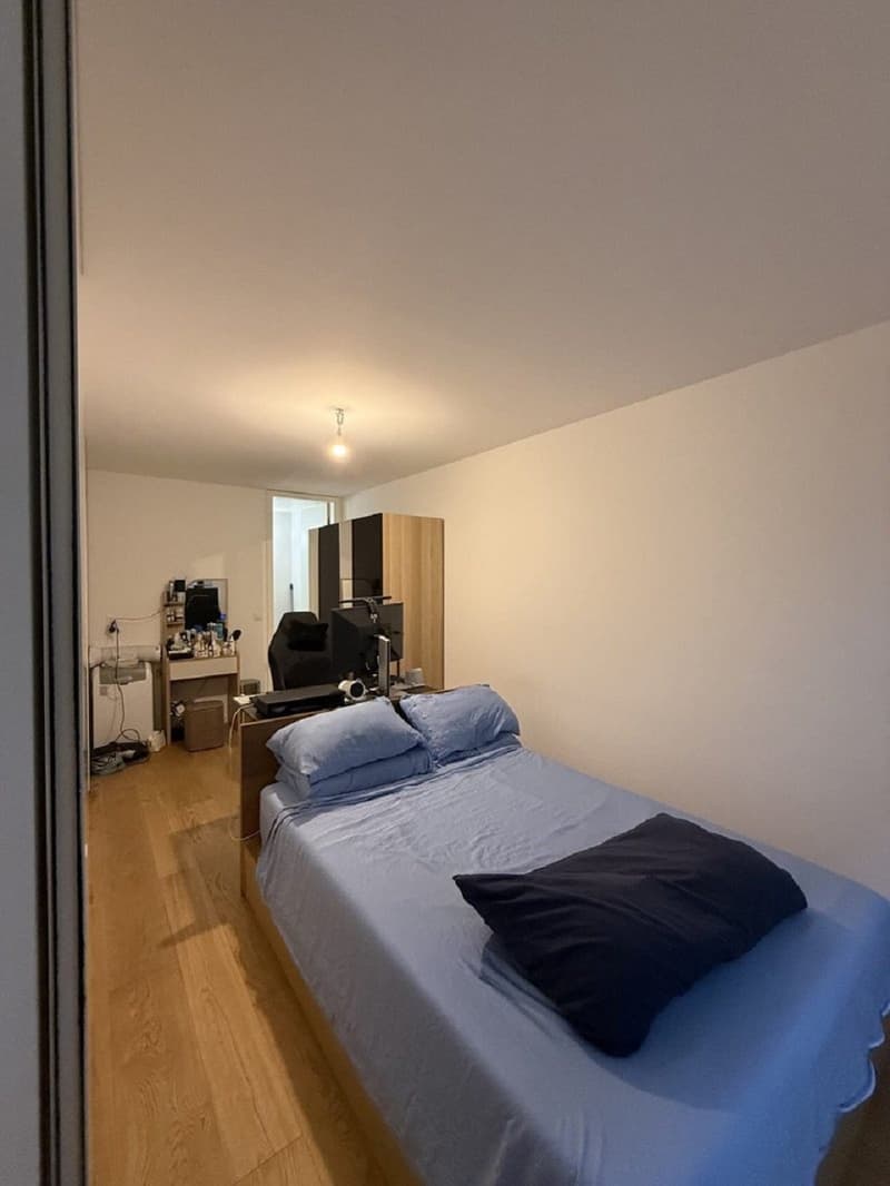 "Charmant appartement de 3 pièces au cur de Genève  Grand-Rue " (2)