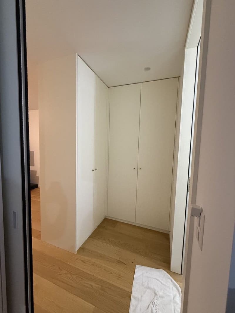 "Charmant appartement de 3 pièces au cur de Genève  Grand-Rue " (4)