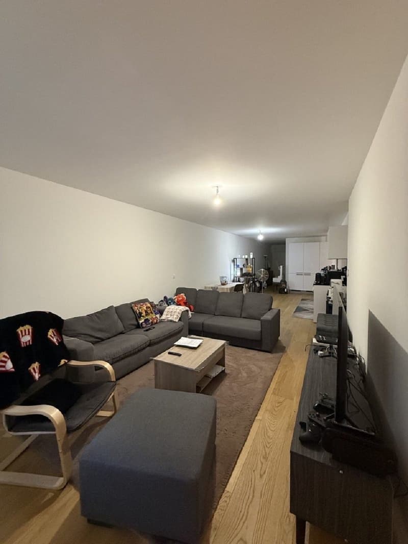 "Charmant appartement de 3 pièces au cur de Genève  Grand-Rue " (6)