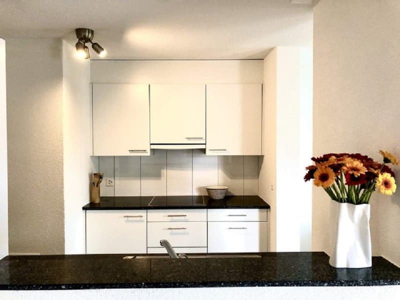 2,5 Zimmer Wohnung in Dübendorf mit balkon (3)