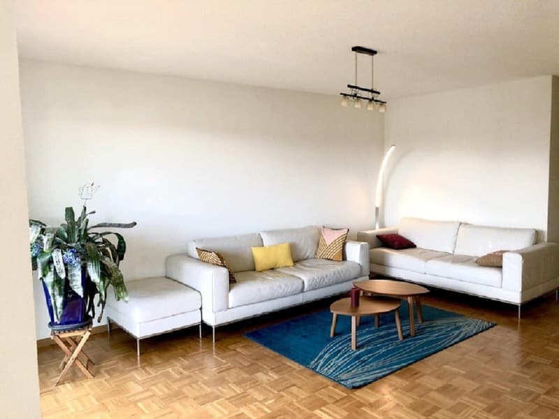 2,5 Zimmer Wohnung in Dübendorf mit balkon (2)