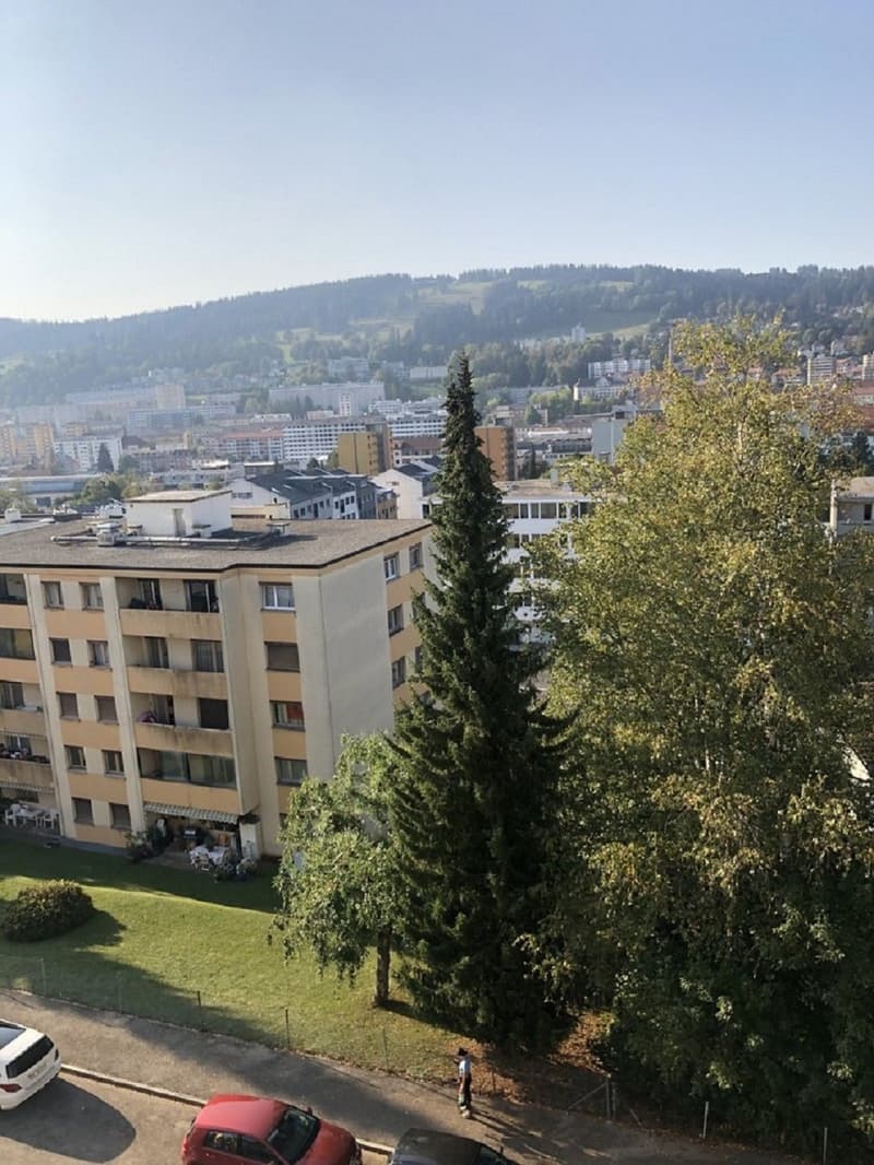 Appartement de 2,5 pièces avec balcon à La Chaux-de-Fonds (1)