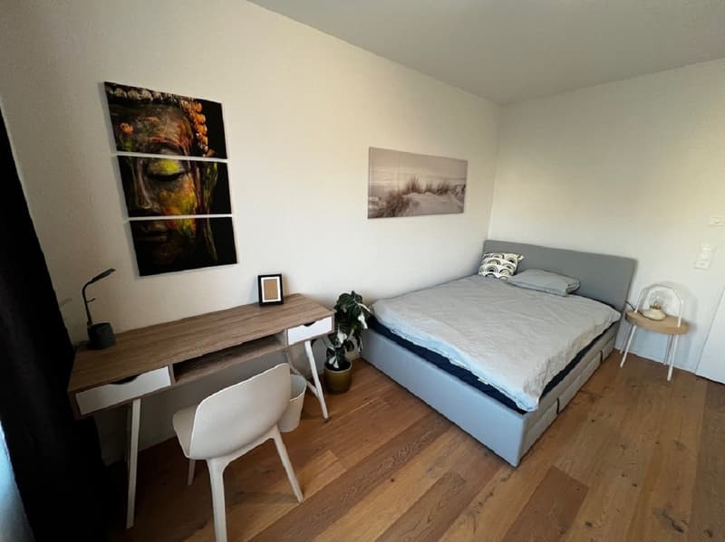2,5 Zimmer Wohnung in Uster mit balkon (6)