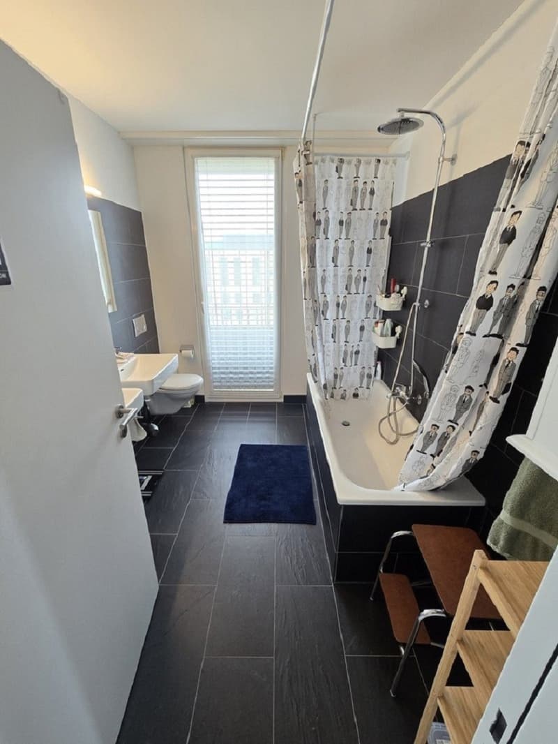 2,5 Zimmer Wohnung in Uster mit balkon (5)