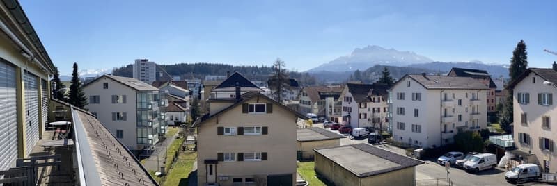 Gemütliches 1-Zimmer-Apartment mit Balkon in Emmen  sofort verfügbar! (4)