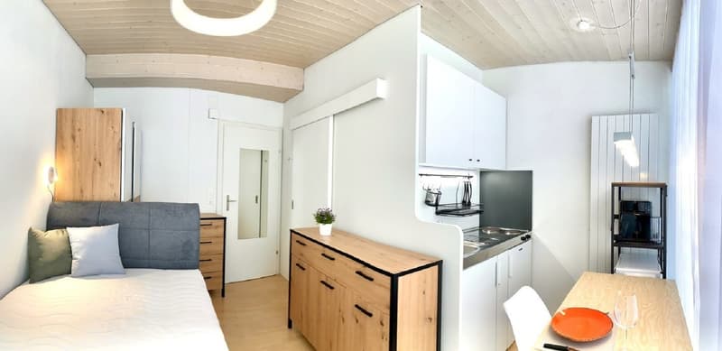 Gemütliches 1-Zimmer-Apartment mit Balkon in Emmen  sofort verfügbar! (2)