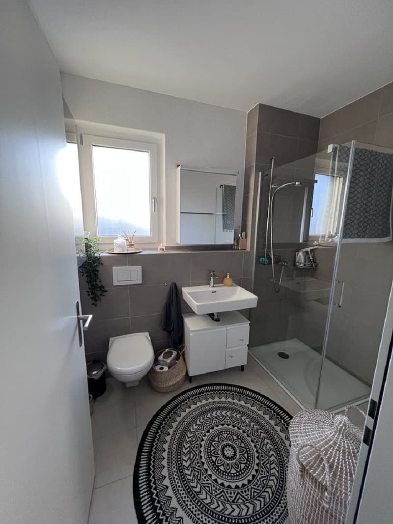2.5-Zimmer Wohnung in Wetzikon mit balkon (5)