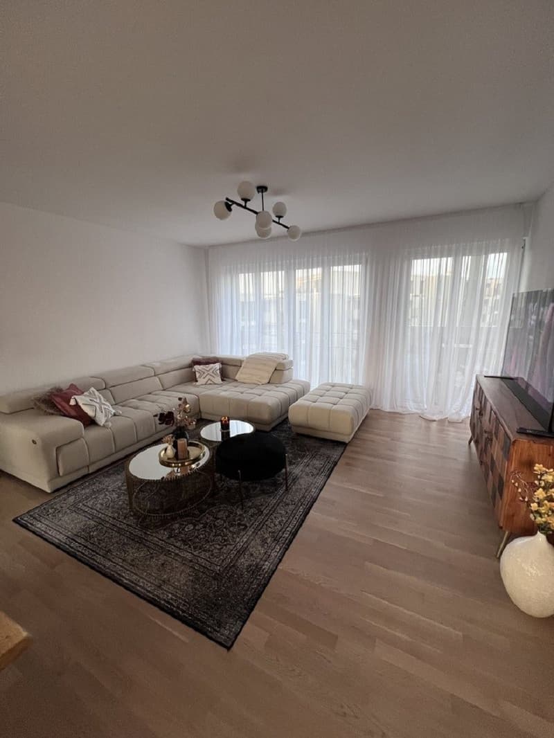 2.5-Zimmer Wohnung in Wetzikon mit balkon (6)