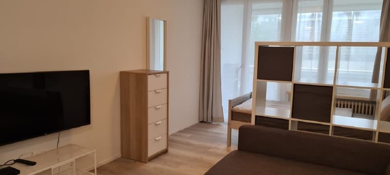 2,5 Zimmer Wohnung mit balkon in Wettingen (7)