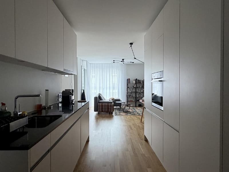 2 ½ Zimmer-Wohnung, 8045 Zurich (4)