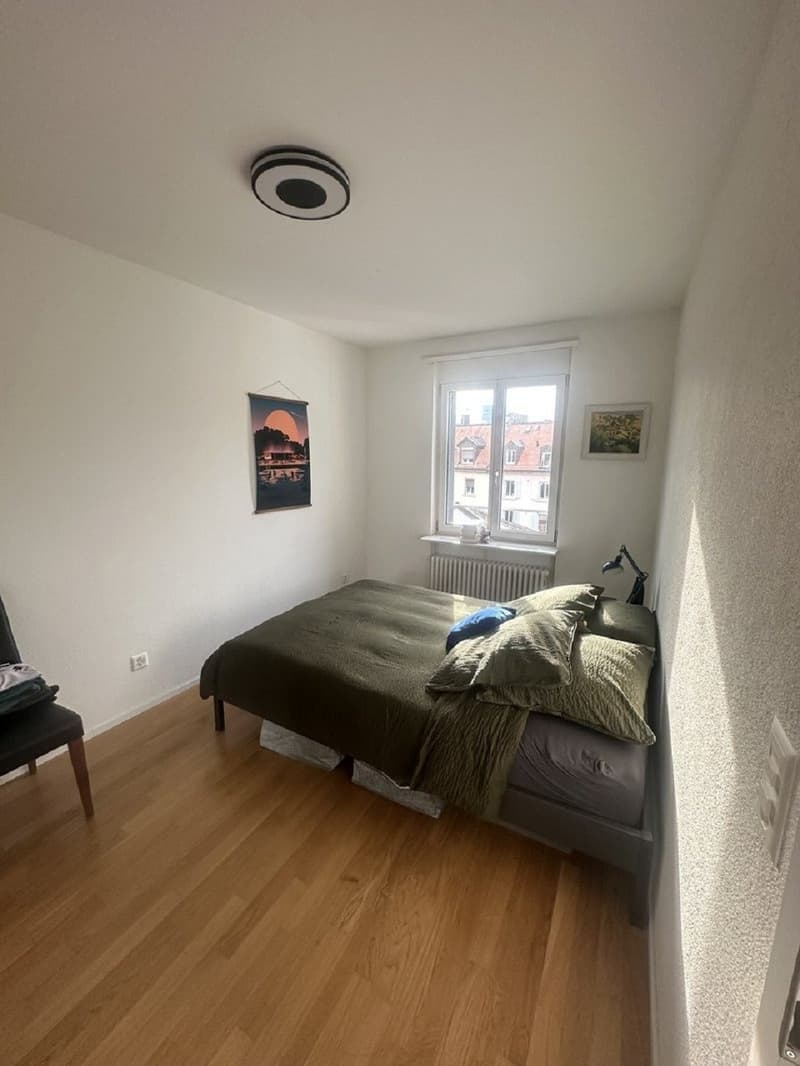 Charmante 2.5-Zimmer-Wohnung an der Langstrasse in Zürich (3)