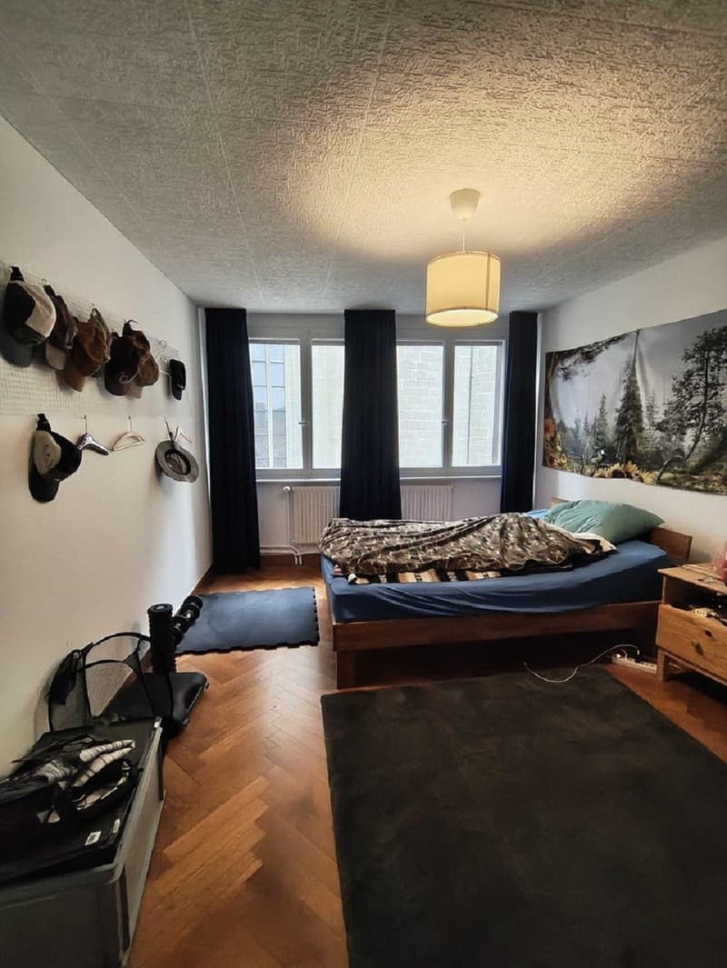 Charmant appartement de 2 pièces au cur de Fribourg (8)