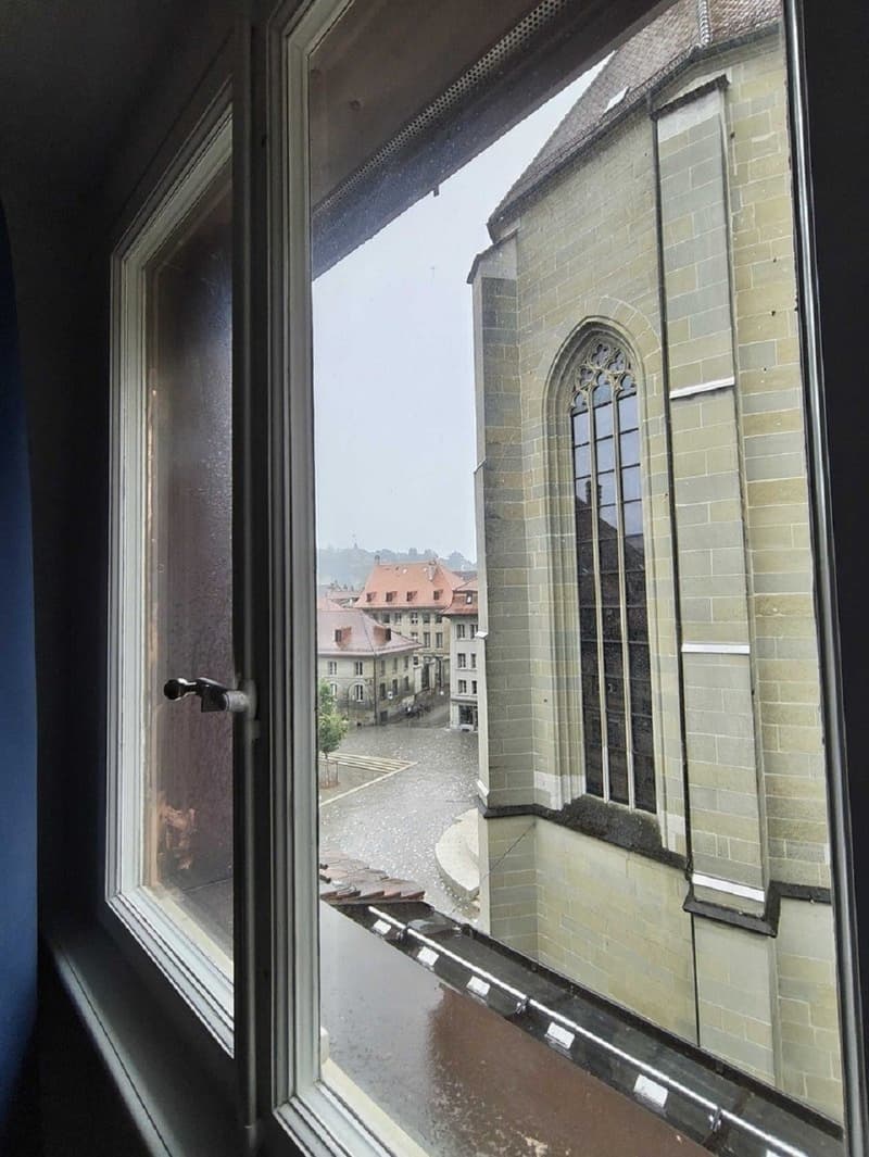 Charmant appartement de 2 pièces au cur de Fribourg (9)