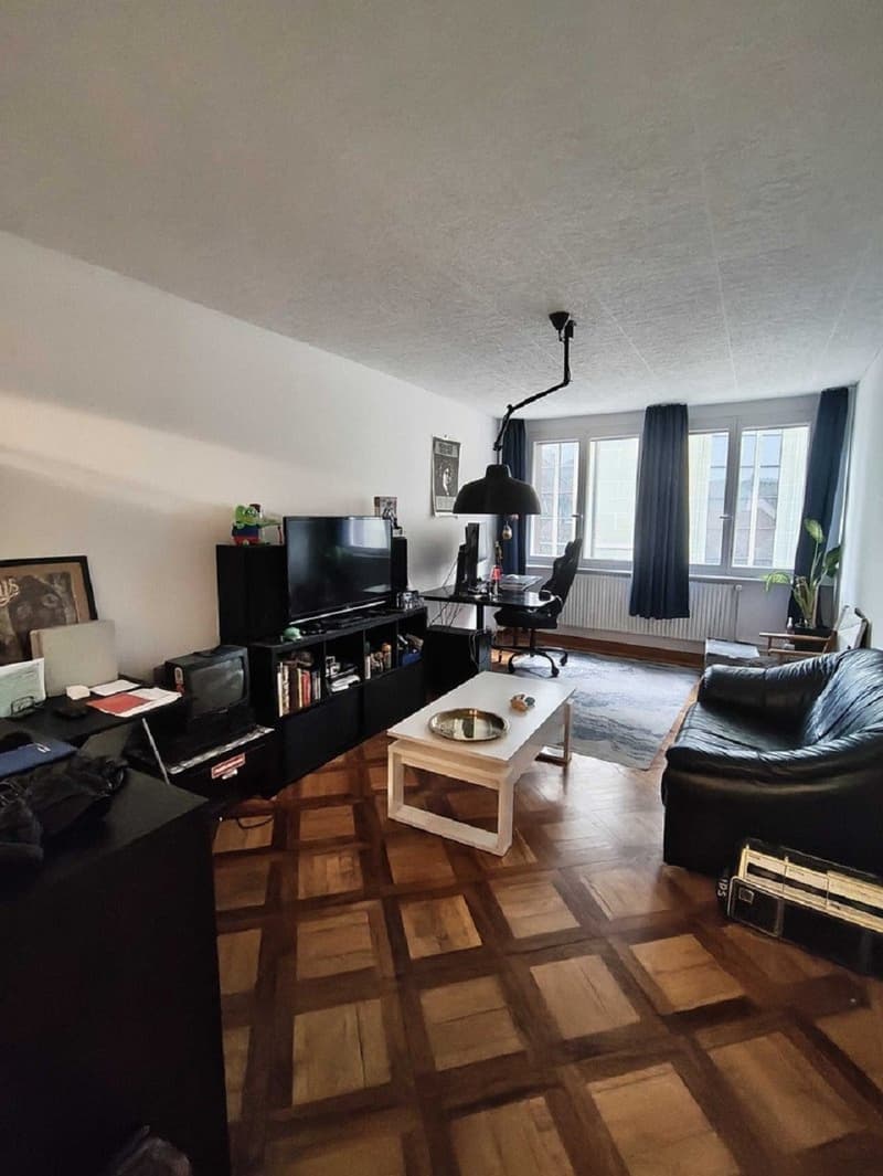 Charmant appartement de 2 pièces au cur de Fribourg (6)
