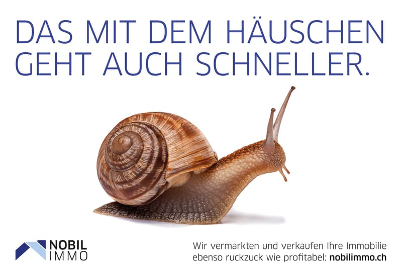 Modernes Wohnen mit vielen Möglichkeiten (13)
