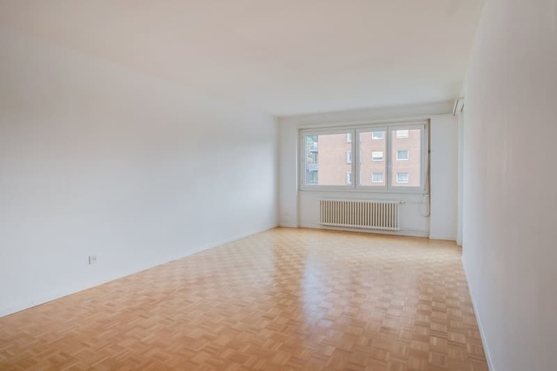 PLATZ FÜR DIE GANZE FAMILIE WOHNUNG AN TOP LAGE IN OLTEN ZU VERMIETEN (2)