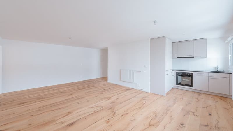MODERNE UND CHARMANTE WOHNUNG SUCHT NACHMIETER (5)
