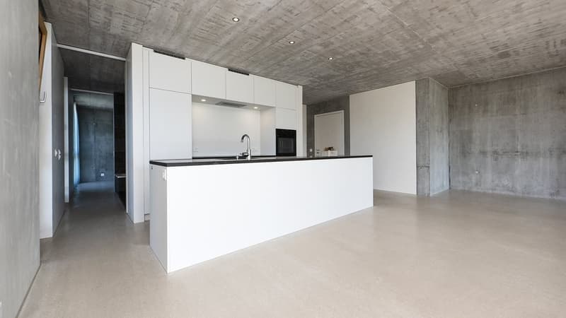 WUNDERSCHÖNE DESIGNER-WOHNUNG (3)