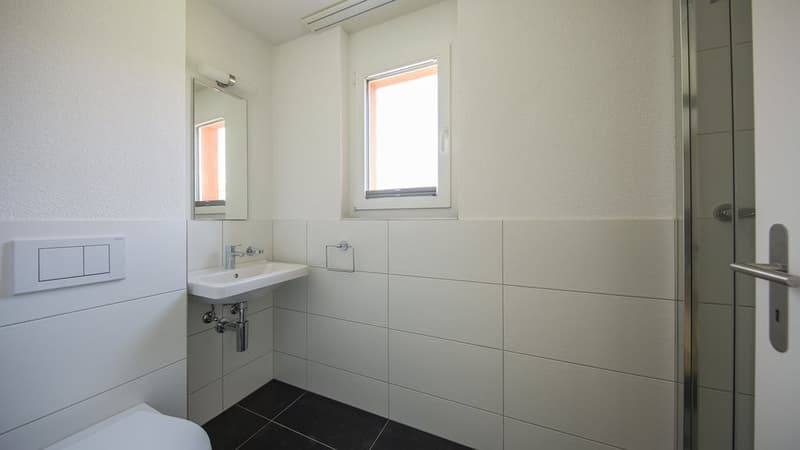 TRAUMHAFTE ATTIKAWOHNUNG IN ALTSTÄTTEN (8)