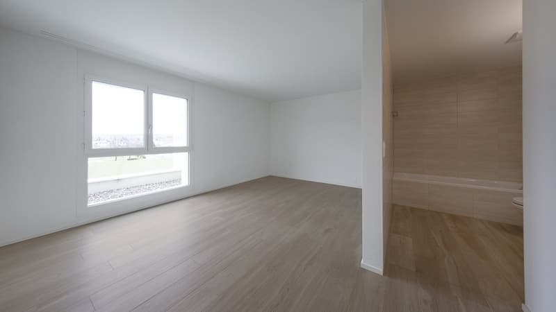 GROSSZÜGIGE UND MODERNE 2.5 ZIMMER-WOHNUNG IN REINACH AG (4)