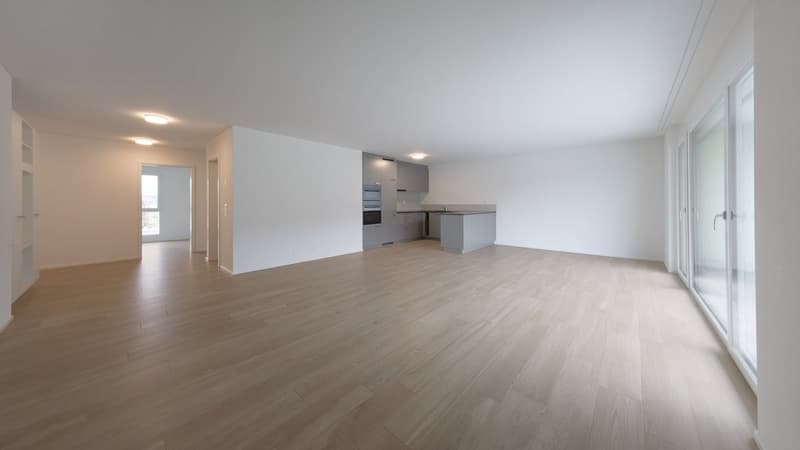 GROSSZÜGIGE UND MODERNE 2.5 ZIMMER-WOHNUNG IN REINACH AG (2)