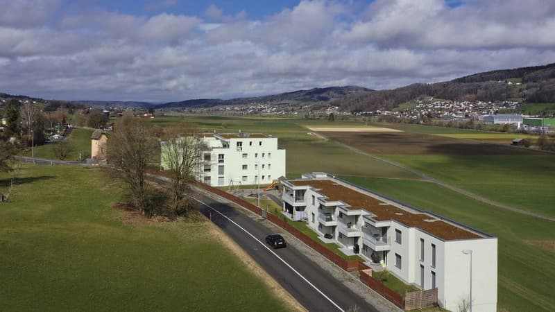 GROSSZÜGIGE UND MODERNE 2.5 ZIMMER-WOHNUNG IN REINACH AG (1)
