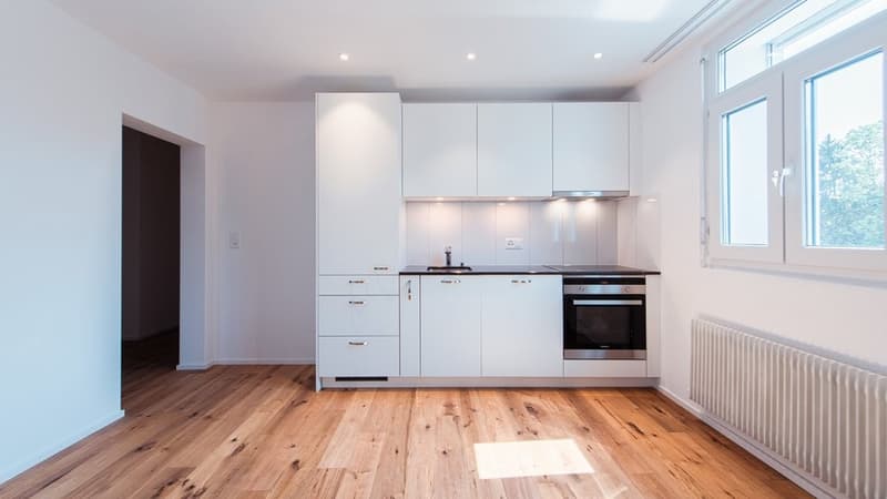RENOVIERTE KLEINWOHNUNG MIT WASCHTURM UND BALKON- 1 MIETZINS GESCHENKT (4)