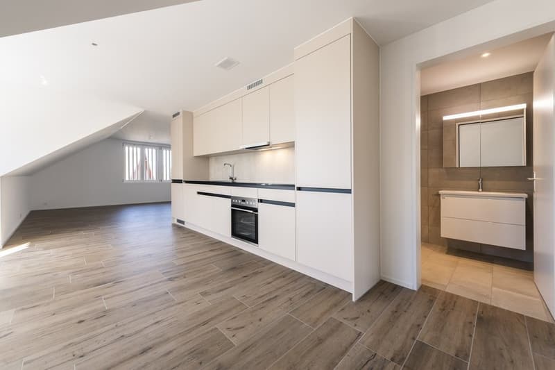 MODERNE UND GROSSZÜGIGE MAISONETTE WOHNUNG (4)