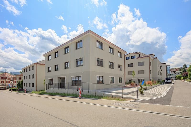 MODERNE WOHNUNG IN BÜTSCHWIL (1)
