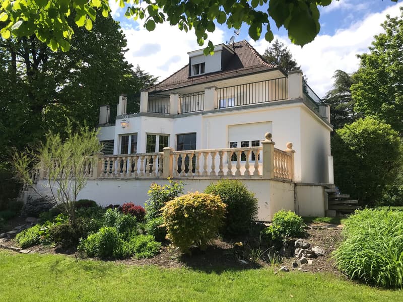 WUNDERSCHÖNES 9-ZIMMER-ANWESEN IN PETIT SACONNEX MIT GROSSEM GARTEN UND RUHE (12)