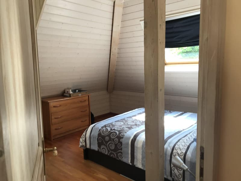 WUNDERSCHÖNES 9-ZIMMER-ANWESEN IN PETIT SACONNEX MIT GROSSEM GARTEN UND RUHE (11)