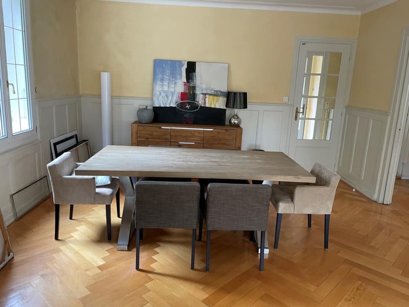 WUNDERSCHÖNES 9-ZIMMER-ANWESEN IN PETIT SACONNEX MIT GROSSEM GARTEN UND RUHE (6)
