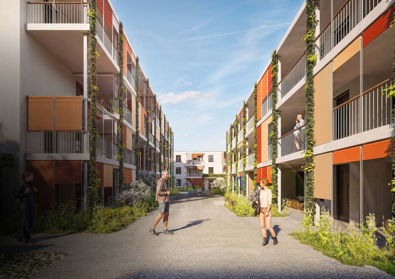 Helle 4.5-Zimmer-Wohnung mit grossem Balkon in Suhr (1)