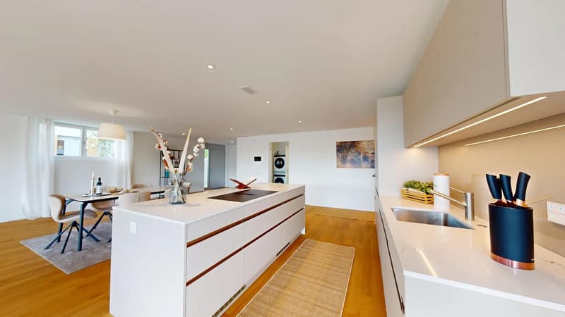 3.5 Zimmer Terrassenhaus mit 102.5 m² Terrasse in Seengen kaufen (3)