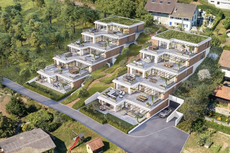 3.5 Zimmer Terrassenhaus mit 102.5 m² Terrasse in Seengen kaufen (2)