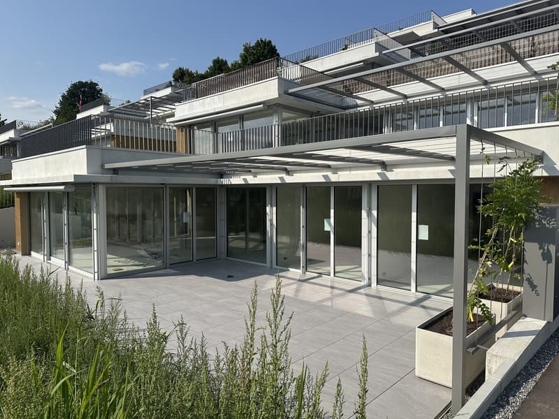 3.5 Zimmer Terrassenhaus mit 102.5 m² Terrasse in Seengen kaufen (6)