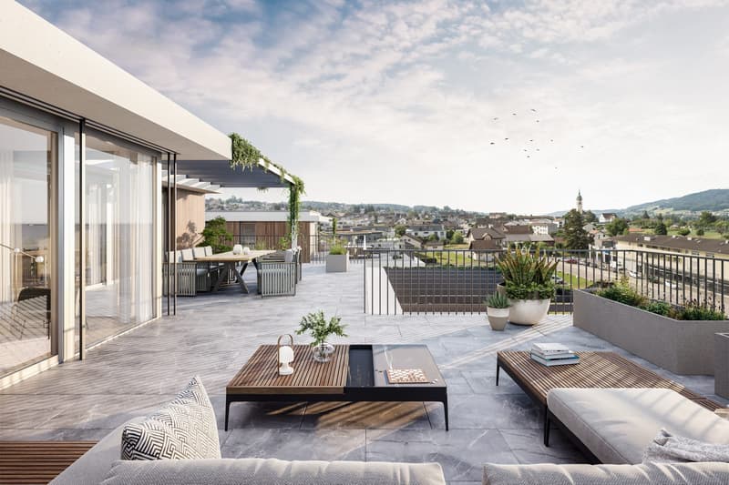 3.5 Zimmer Terrassenhaus mit 102.5 m² Terrasse in Seengen kaufen (1)