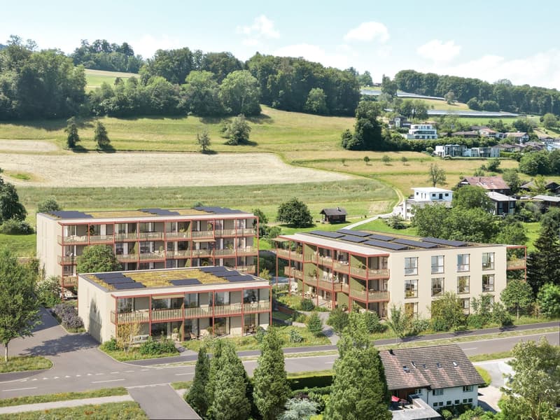 3.5-Zimmer-Gartenwohnung mit grossem Aussenraum in Boniswil mieten (4)
