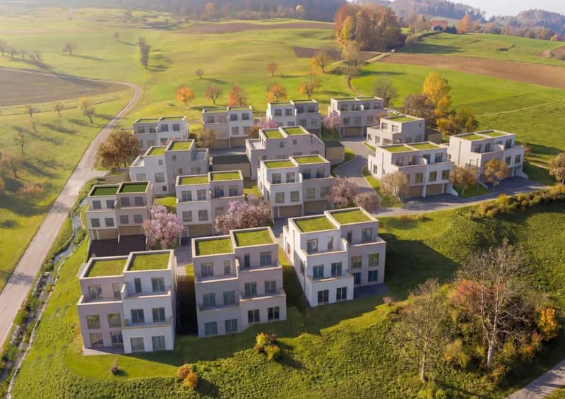 5.5-Zimmer-Doppelhaushälfte mit bis zu 61m² grossen Terrasse in Thürnen kaufen (2)