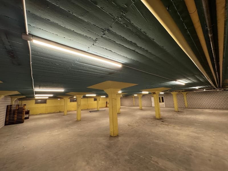 Gewerbe- und Lagerfläche an der Industriestrasse in Lenzburg (13)