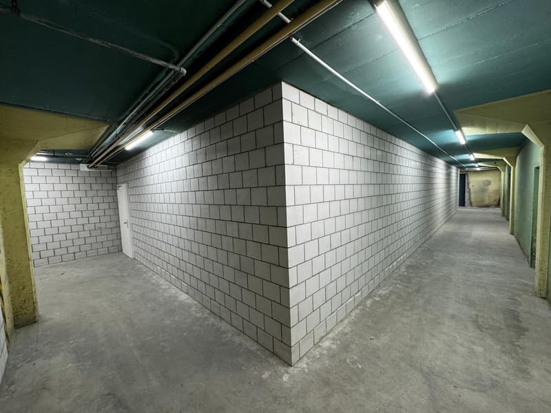 Gewerbe- und Lagerfläche an der Industriestrasse in Lenzburg (6)
