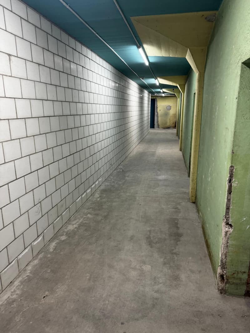Gewerbe- und Lagerfläche an der Industriestrasse in Lenzburg (7)