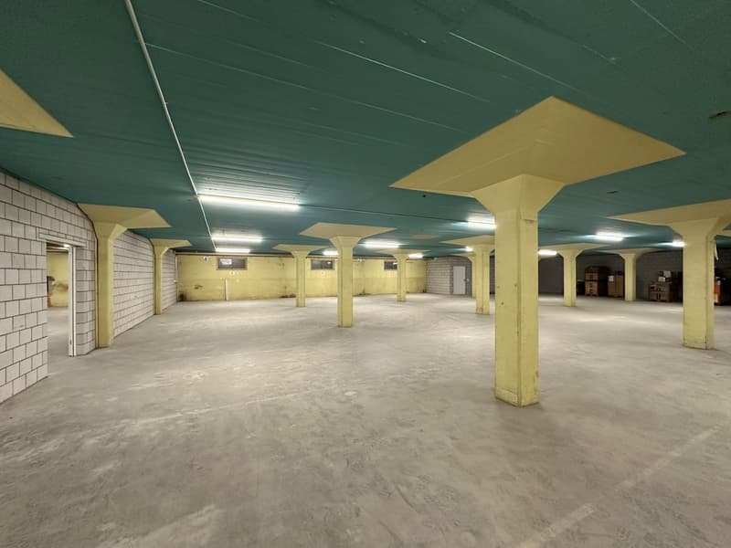 Gewerbe- und Lagerfläche an der Industriestrasse in Lenzburg (3)